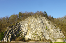 Anticlinal